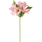 Easyplants | Kunstbloem Alstroemeria 47 cm roze/creme | Zijde | Nepbloemen | creme | Onderhoudsvrij | Kant-en-klaar