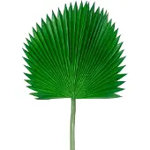 Easyplants | Kunstblad Washingtonia 105cm | Zijde | Nepbloemen | groen | Onderhoudsvrij | Kant-en-klaar
