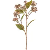 Easyplants | Kunstbloem Sedum 67 cm bruin | Zijde | Nepbloemen | bruin | Onderhoudsvrij | Kant-en-klaar