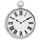 Dripio Wandklok, zakhorloge-design, 30 cm, zilverkleurig, radiogestuurd, Romeinse cijfers