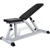 Selius Fitnessbank - Krachtstation - Trainingsbank - Multifunctioneel - IJzer