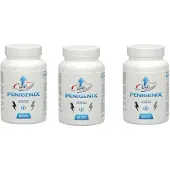 90100ct 3x voedingssupplement Penigenix, 60 capsules