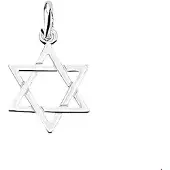 The Jewelry Collection Zilveren Hanger Davidster