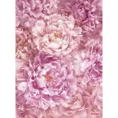 Komar Fotobehang vlies Soave 184x248 cm