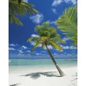 Komar Fotobehang Ari Atoll Groot