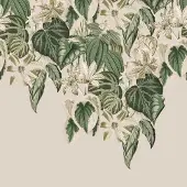 Rasch Fotobehang 590012 - Bloemen Groen/Beige 3x3m - Vlies