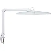 MAUL LED werklamp, dimbaar, wit