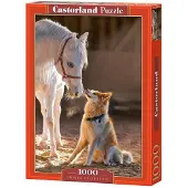 Castorland Puzzel 1000 stukjes Unique Friendship 105076
