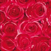 2lif Roses Zelfklevende Folie Mini rol multi 45cmx2mtr
