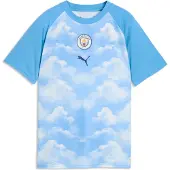 Puma Functioneel shirt 'Manchester City' pastelblauw / wit