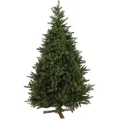 Molecule Our Nordic Christmas 31HKENT228 Kentucky Deluxe 228 cm