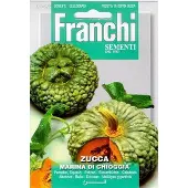 Franchi - Zucca marina di Chioggia - Pompoen /squash groen