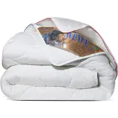 Avenue - Geavanceerd 4 Seizoenen Dekbed 240x220 cm - Anti Allergie Dekbed Met Twee Delen - Wolkenzacht en Soepel - Lits-jumeaux & Tweepersoons Dekbed - Zomerdekbed & Winterdekbed