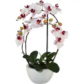 Kopu kunstorchidee 52 cm - witte keramische pot phalaenopsis