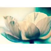 Rasch Fotobehang Grote Bloem Wit/Groen 2.65x3.71m - Magicwalls Collectie
