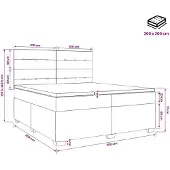 vidaXL Boxspringbed met matras Blauw 200 x 200 cm Fluweel