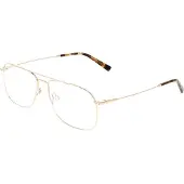 FLEXSON Flexon FLEXON H6091 Gold 57/16/150 MAN Brilmonturen