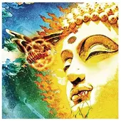 Inside Out Journey To The Sun/2Cd