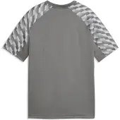 Puma teamLIGA26 Jersey Flock: - Maat: 152