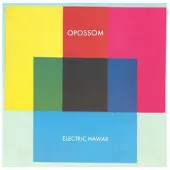 Cd Opossom - Electric Hawaii (CD)
