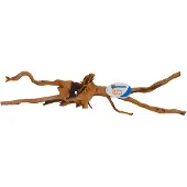 Superfish Spiderwood X-Large aquaria