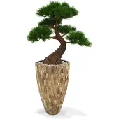 Maxifleur Kunstplanten Pinus Kunst Bonsai x5 Deluxe 80 cm op voet