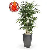 Maxifleur Bamboe 150 cm FR