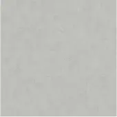 Dutch Wallcoverings Kalk uni grijs/beige behang (vliesbehang, grijs)