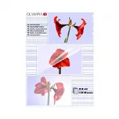 Olympia Lamineerfolies A4 125 micron (2 x 125)