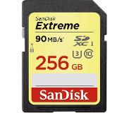 SanDisk SD Extreme - 256GB