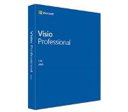 Microsoft Visio Professional 2019 Volledig 1 licentie(s) Engels