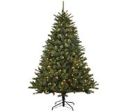 Black Box Trees - Kerstboom Led Deluxe Toronto H185 D130 Groen 230L Tips 858