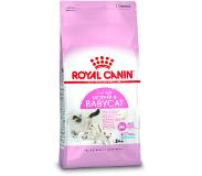 Royal Canin Droogvoer kat moeder en babycat 4 kg Royal Canin online kopen