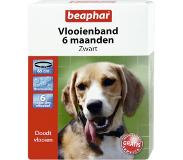 Beaphar Vlooienband 6 Mnd Hond 65 cm - Anti vlooienmiddel