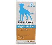 No Worm hond large (2tb)