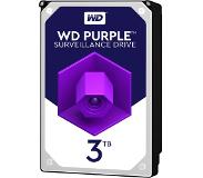 Western Digital WD Purple WD30PURZ - 3TB