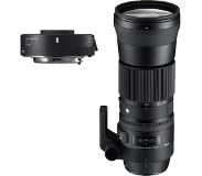 Sigma 150-600mm f/5.0-6.3 C + TC-1401 (Nikon F)