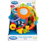 Playgro Play and Learn Ball Speelbal P4082679
