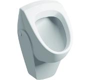 Geberit 300 urinoir 40 met achterinlaat 36x37cm wit S8601600000G