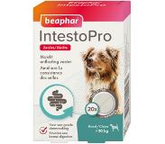 Beaphar IntestoPro Tabletten Hond vanaf 20 kg - 20 tabletten