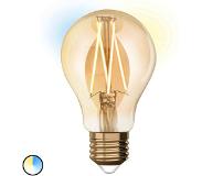 IDual Ledfilamentlamp Amber E27 9w