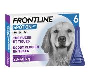 Frontline Spot on hond Large - 6 pipetten