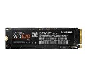Samsung 960 EVO 1 TB M.2