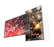DynaScan DI551ST2 ultradunne digital signage-display
