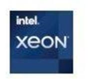 Intel Xeon W-1350 LGA1200 Cache Boxed CPU (LGA 1200, 3.30 GHz, 12 -Core)