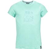Chillaz Heren Alpaca Gang T-Shirt (Maat L, groen)