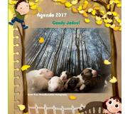Sans marque Agenda klein bull terrier friends 2017