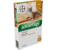 Advantage Kat 40 Vlo -4kg 4st