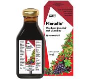 Salus Floradix IJzer-elixir – Bij vermoeidheid – Voedingssupplement met ijzer en vitamine B12 – 500 ml