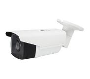 LevelOne FCS-5093 IP-beveiligingscamera Binnen & buiten Rond Plafond/muur 3840 x 2160 Pixels